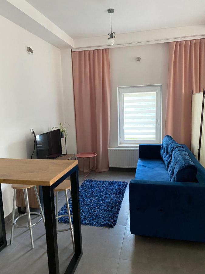 Apartamenty Pod Wierzbami Dwikozy Экстерьер фото